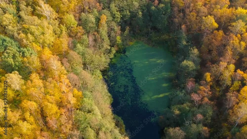 Amazing autumnal landscape of small pond in the forest, Poland Amazing autumnal landscape of small pond in the forest, Poland