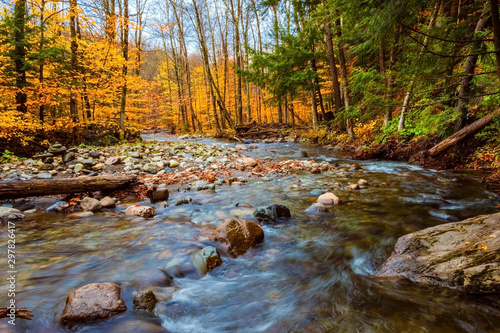 river in a fall forest