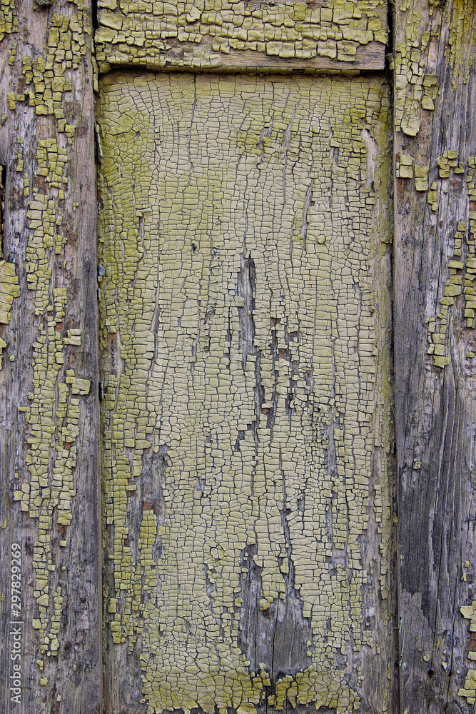 Obraz premium Texture of cracked wooden panels covered with old peeled paint