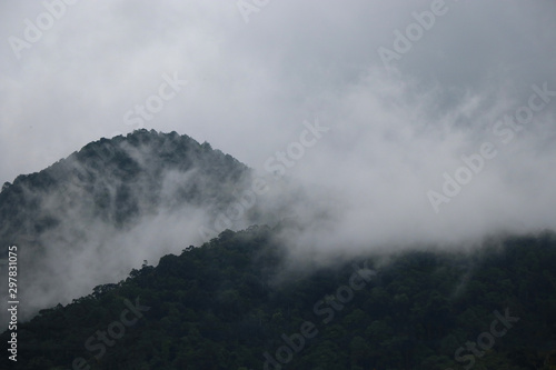 Landscape with mist on hill freshness and beautiful in nature background
