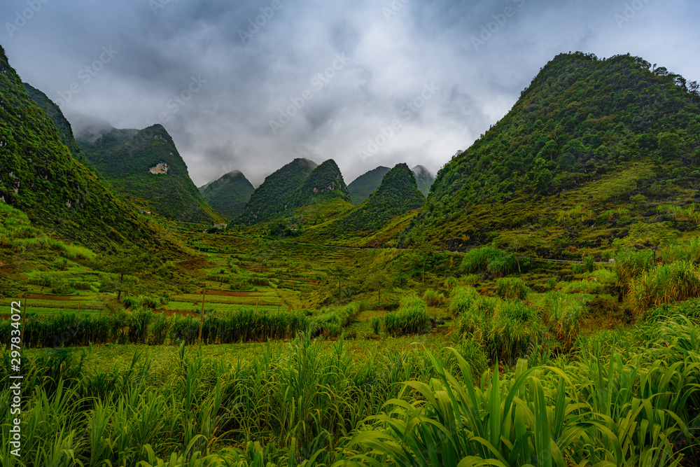 Fototapeta premium Mountain road in beautiful valley. Ha Giang province. Vietnam