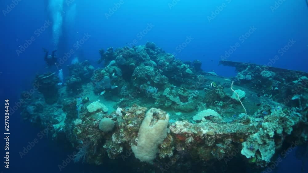 Corals and fish on sunken ship wreck on underwater submarine world of ships from World War II as result of military battles on Truk Islands. Concept of diving in underwater sunken wreck. Corals and fish on sunken ship wreck on underwater submarine world of ships from World War II as result of military battles on Truk Islands. Concept of diving in underwater sunken wreck.
