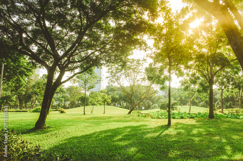 Beautiful pure sunrise morning in public park with green grass, tree and flower. Half moon park in Ho Chi Minh city, Vietnam.