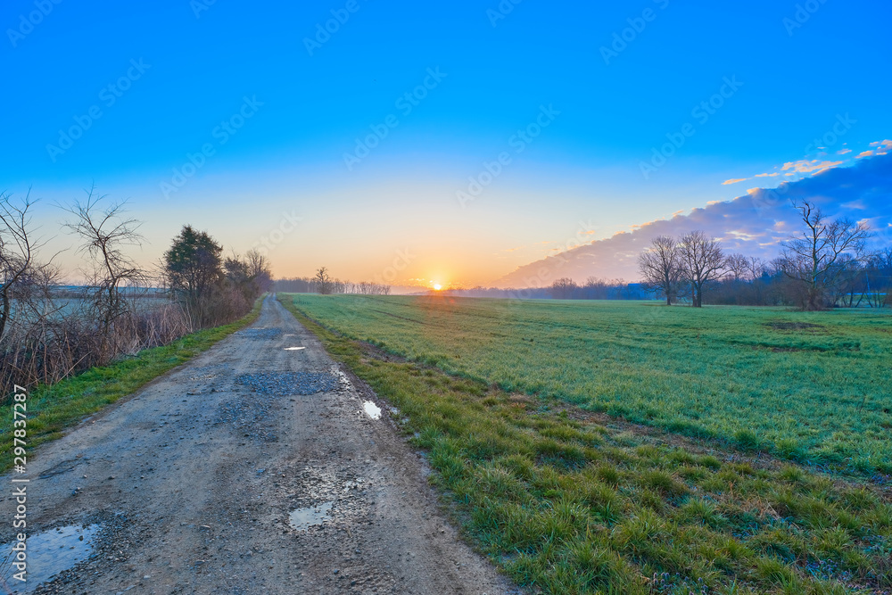 Country  Road at Sunrise with Field