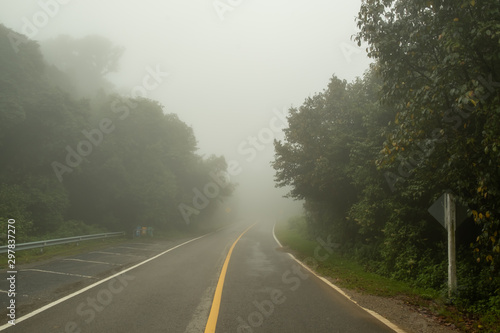 A mountain road covered by fog causing limited visibility