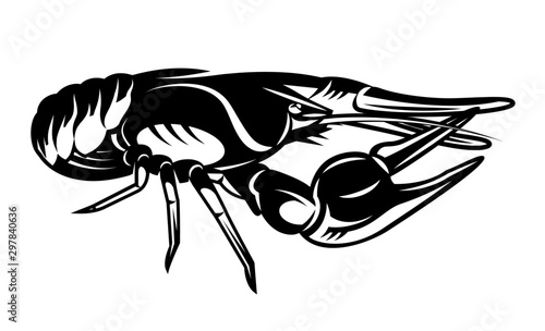 Vector illustration with crayfish on white background