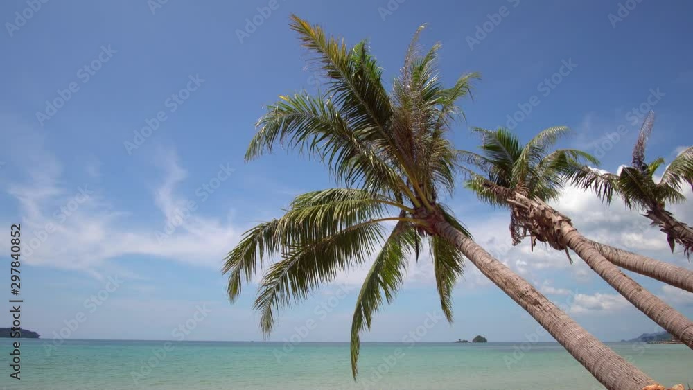 Tropical beach with coconut palm trees Tropical beach with coconut palm trees