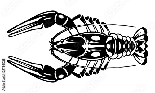 Vector illustration with crayfish on white background