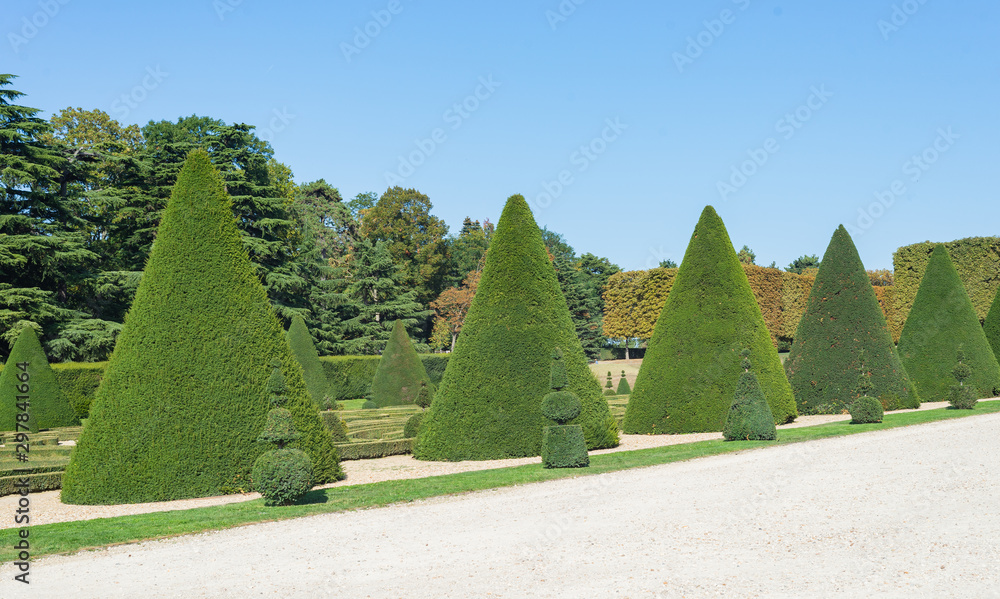 French chateau garden topiary cut tree design