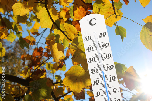 Canvas Print Thermometer vor Baum mit Herbstfärbung