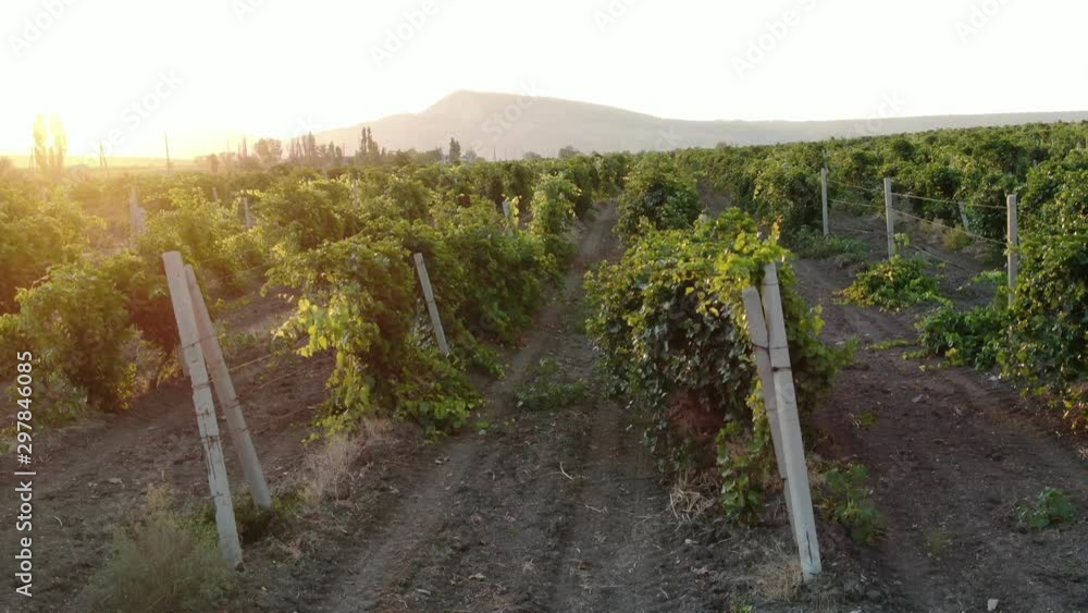 Aerial nature landscape beautiful hills mountains fields and vineyards of Koktebel CRIMEA AUGUST 2019 Flight up Aerial nature landscape beautiful hills mountains fields and vineyards of Koktebel CRIMEA AUGUST 2019 Flight up