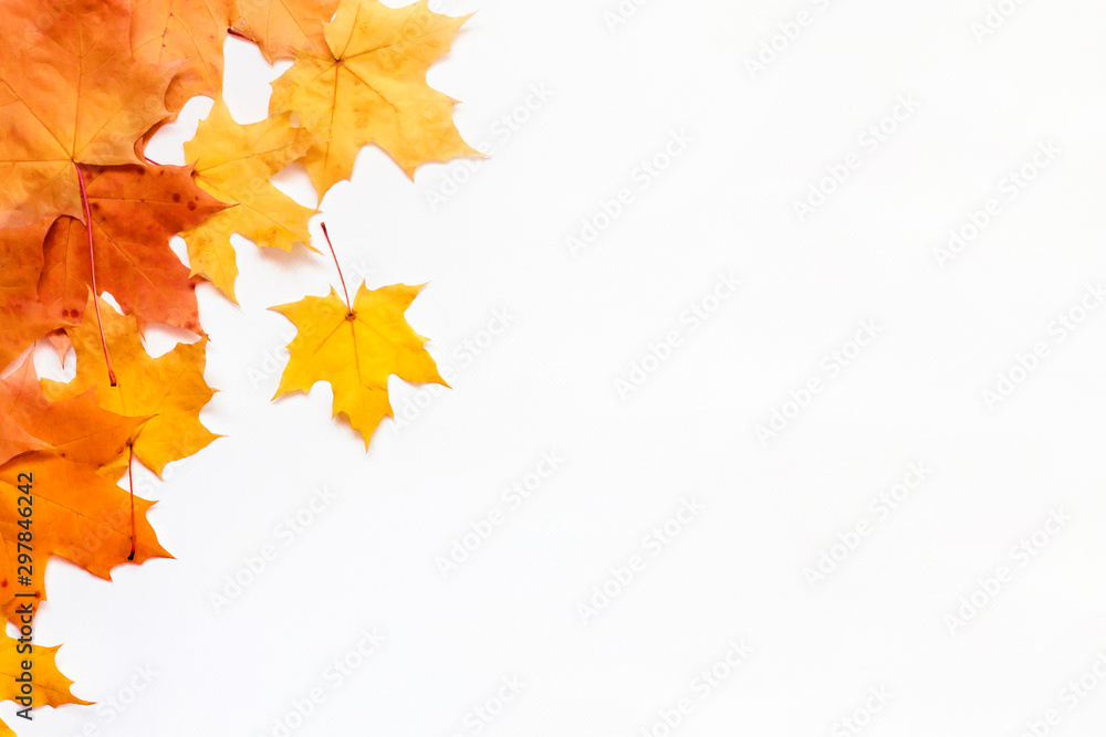 Autumn background with place for text. Composition of Maple leaves on white. Autumn background with place for text. Composition of Maple leaves on white.