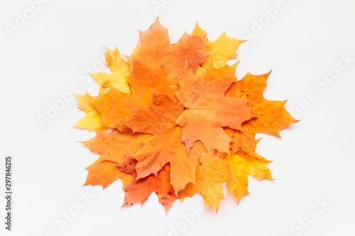 Orange round frame of maple leaves on white