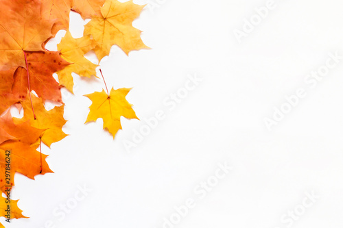 Autumn background with place for text. Composition of Maple leaves on white.