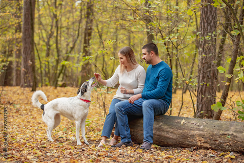 care, animals, family, season and people concept - smiling couple with dog in autumn park © Volodymyr Shcerbak