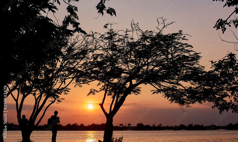 Silhouette of tree and lake scene in the sunset Silhouette of tree and lake scene in the sunset