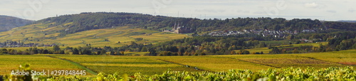 Ein Blick von der Ferne auf die Abtei St. Hildegard mit Windr  dern im Hintergrund und Feldern und Reben im Herbst in R  desheim im Rheingau am Rhein in Hessen Deutschland