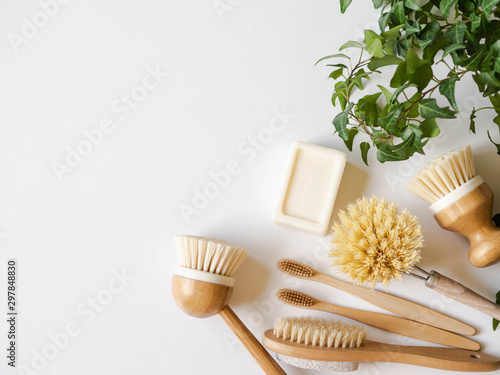 Dish washing brushes  bamboo toothbrushes and green houseplant. Sustainable lifestyle zero waste concept. Clean without waste. No plastic objects.