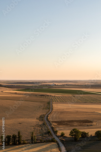 Sunset   cultivated land in Castile. Valladolid  Spain  Vertical 