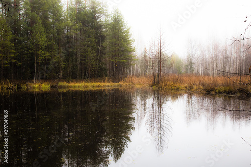 Obraz na plátně beautiful forest lake on a cool autumn morning