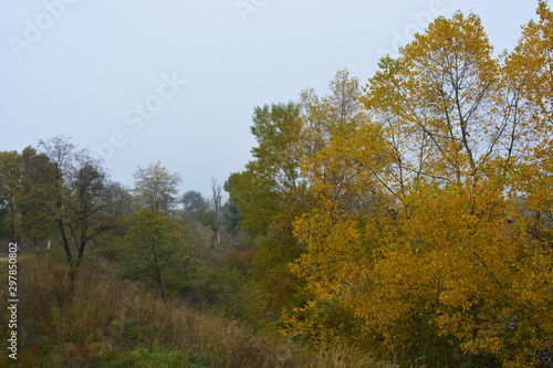 Beautiful landscape, autumnal nature with white dense fog over Career Lake, Dnipro city, Ukraine. Tall trees and large shrubs with yellow leaves around a clean and beautiful lake.