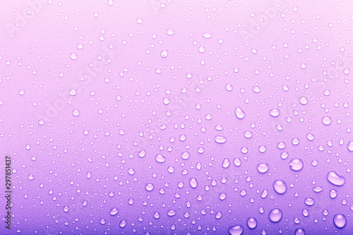 Drops of water on a color background. Selective focus. Purple. Toned