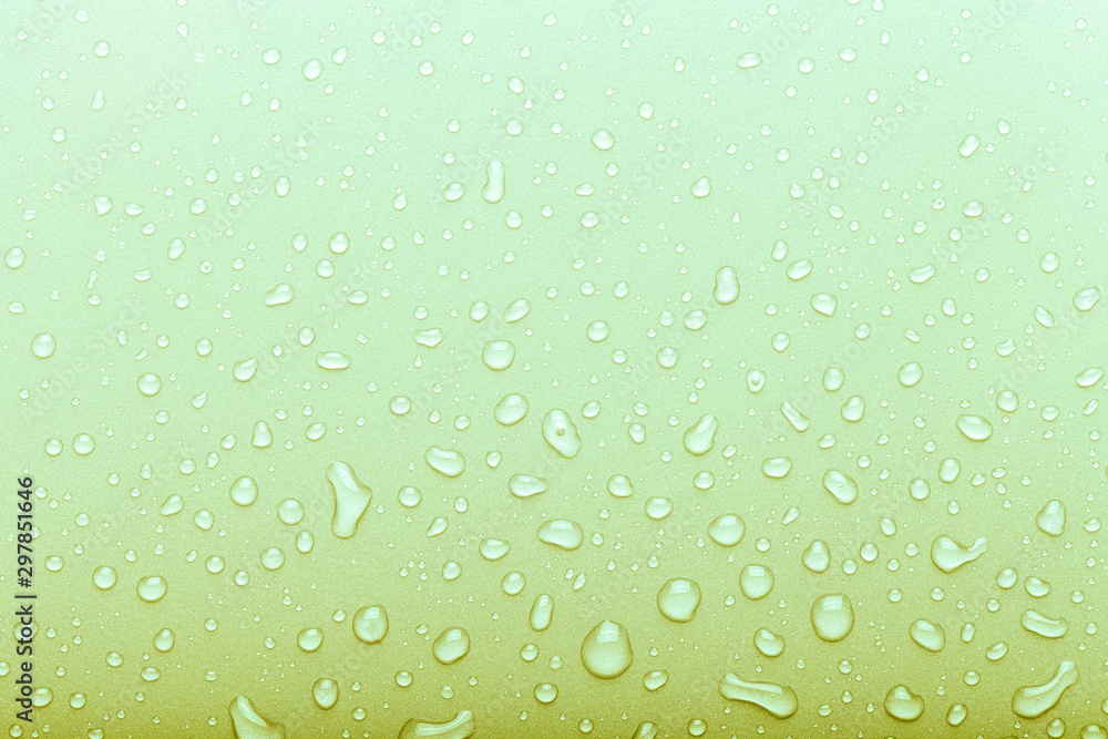 Drops of water on a color background. Selective focus. Green. Toned