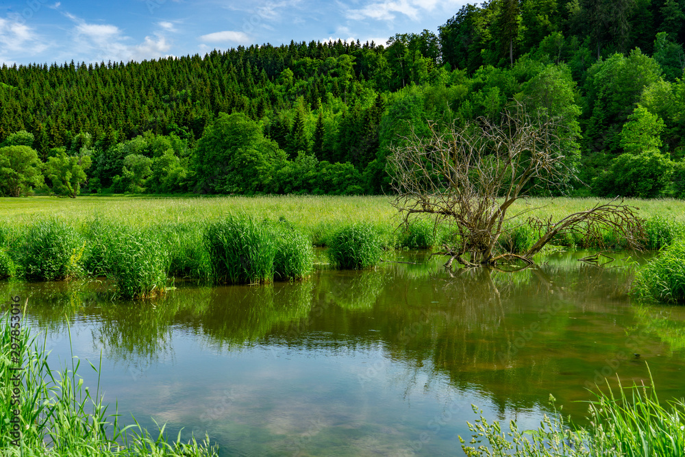 Fototapeta premium Fehlatal Neufra