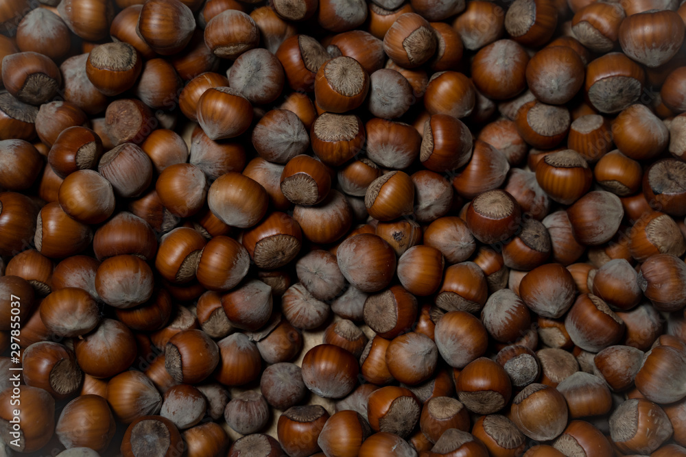 Brown forest hazelnuts. 