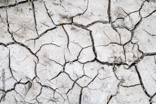 Gray land background cracked during drought with a small amount of dry grass Fototapet