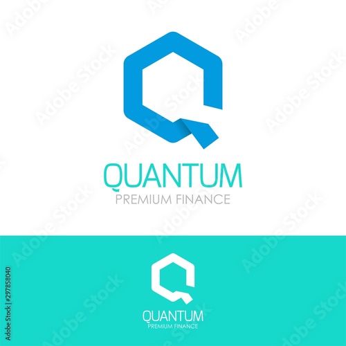 Letter Q Logo Vector