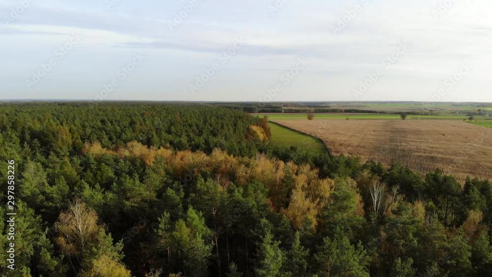 Landscape with evergreen forest and farm filed. Aerial pan right Landscape with evergreen forest and farm filed. Aerial pan right