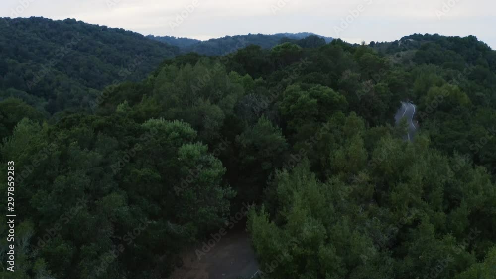 A winding road in the forest. A winding road in the forest.