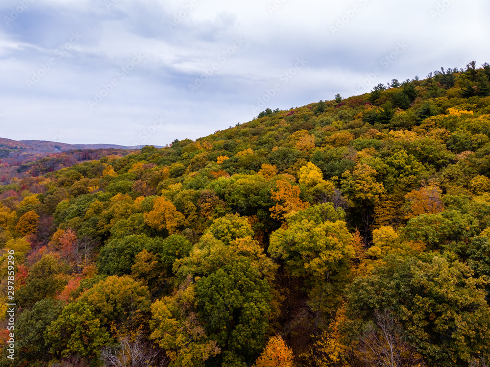 Drone photo of peak foliage upstate New York during the autumn fall season.