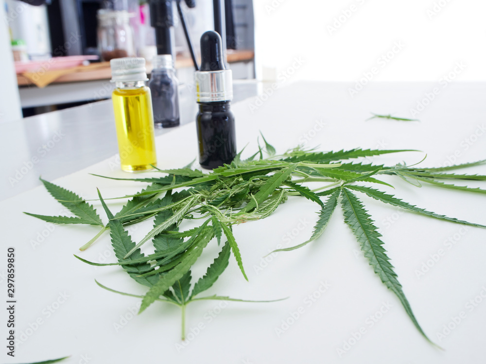 Fototapeta premium Cannabis with extract oil in a bottle