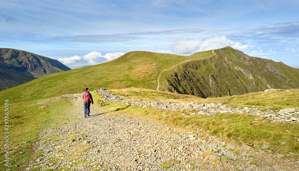 A hiker and their dog walking along a mountain path on a sunny day towards the summit of Hopegill Head In the Lake District, England, UK.