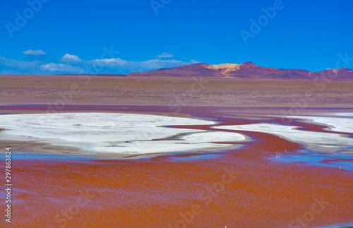 laguna colorada in Bolivia