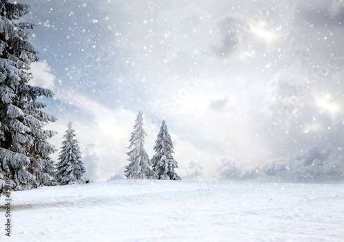 magical Christmas card with fairy tale winter landscape with snow covered firs