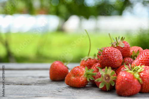  Strawberries in a bowl on a wooden table, outdoors on a green blurred background of leaves and trees
