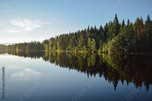 Coniferous forest reflections in the lake in Finland, summer evening sunset