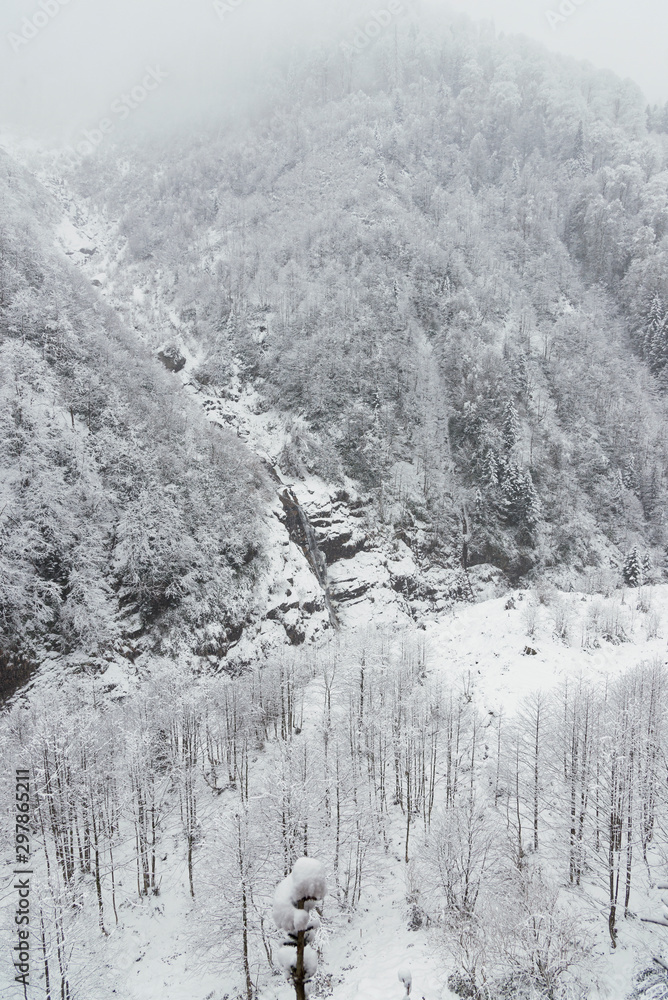 Landscape view of snowy hills with pine trees. Landscape view of snowy hills with pine trees.