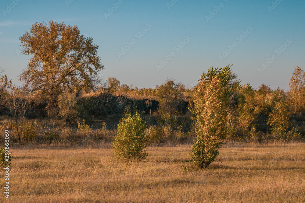 evening by autumn in steppe evening by autumn in steppe