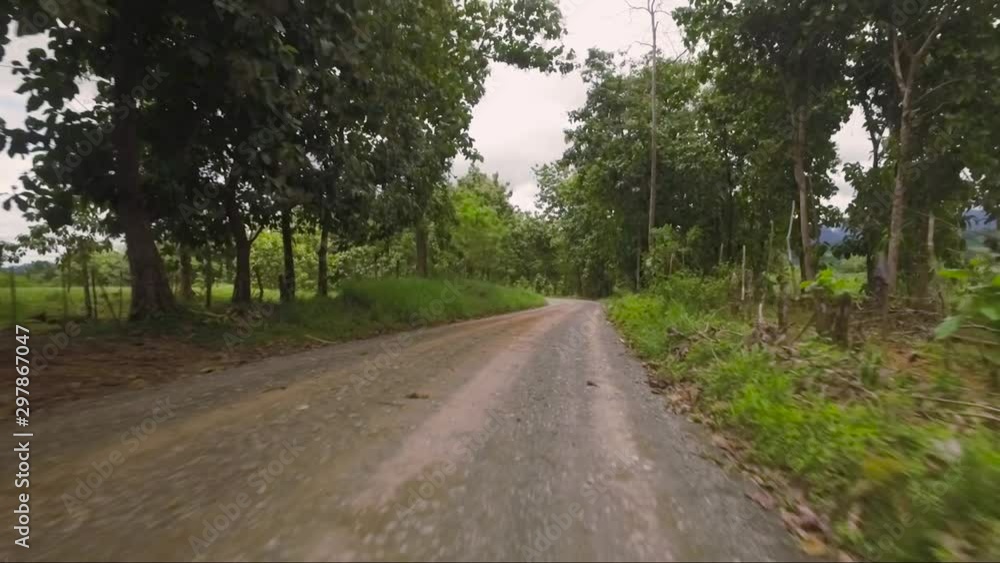 Costa Rican Rocky road with large old trees, lots of green, and a beautiful valley leading to the base of the San Isidro mountains in Costa Rica.  Located in Costa Rica pueblo called naranjito.