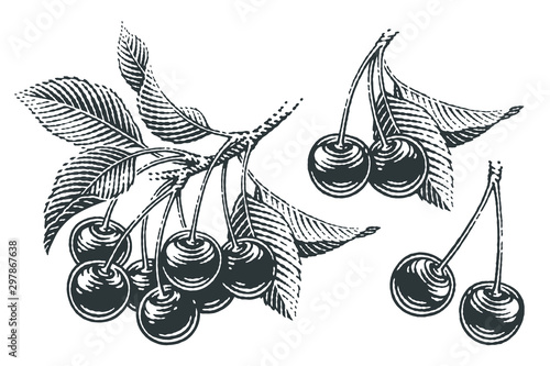 Cherries and cherry tree's branch composition set. Hand drawn engraving style illustrations.