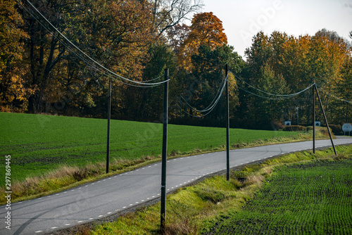 road sweden with teleponelines © Mats