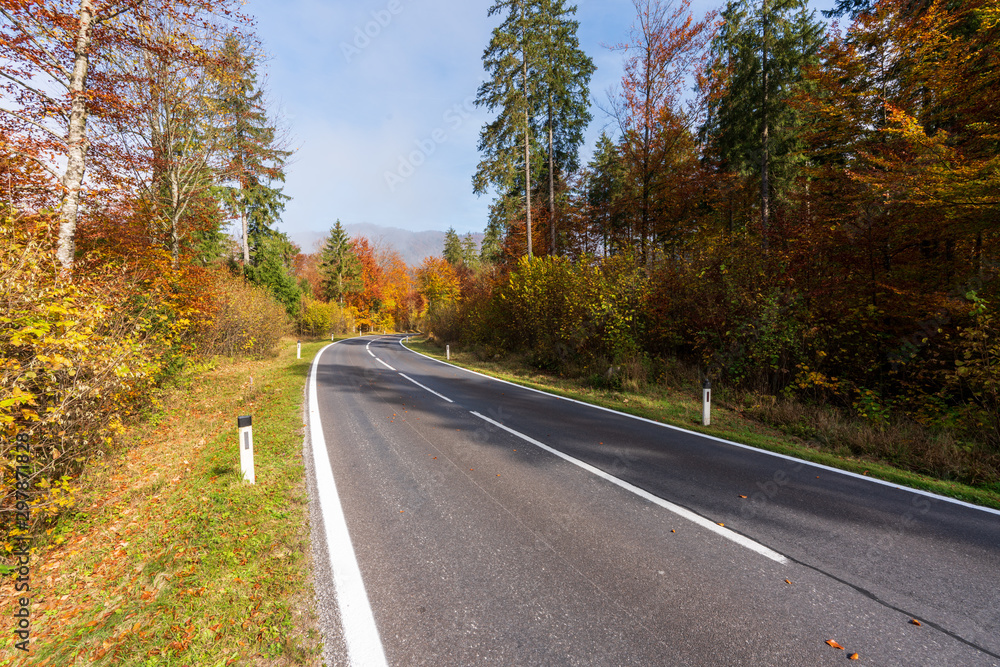 Landstraße die durch einen idylischen Wald im Herbst führt Landstraße die durch einen idylischen Wald im Herbst führt