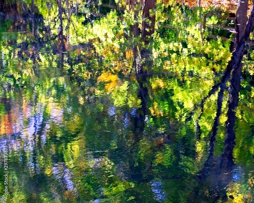 Abstract tree reflections in the water