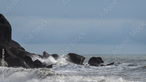 black sand beach iceland