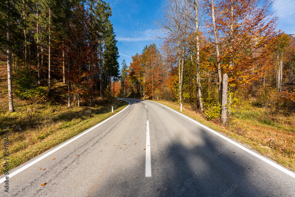 Fototapeta premium Landstraße die durch einen idylischen Wald im Herbst führt