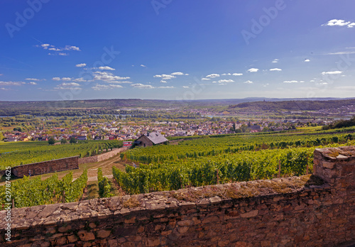 View from the Abbey of St. Hildegard over the vineyards to Rüdesheim, founded by Hildegard von Bingen, Benedictine Abbey, Eibingen near Rüdesheim, Diocese of Limburg, Hesse, Germany, Europe photo